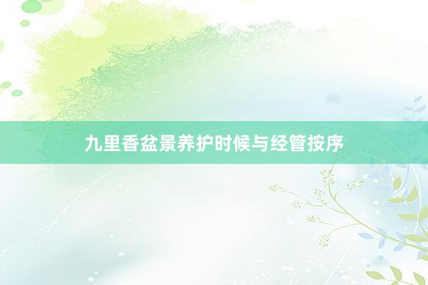 九里香盆景养护时候与经管按序