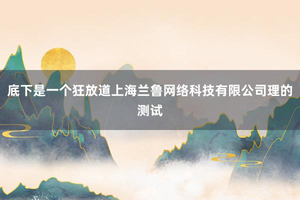底下是一个狂放道上海兰鲁网络科技有限公司理的测试