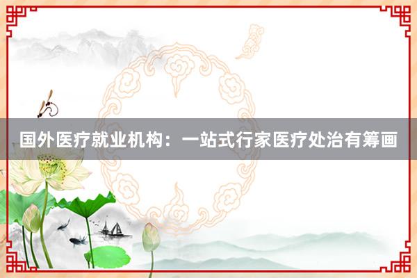 国外医疗就业机构：一站式行家医疗处治有筹画