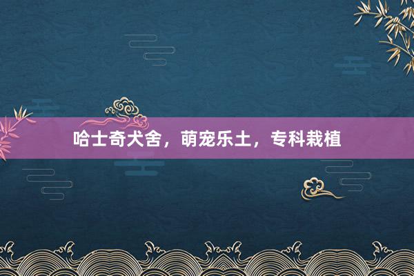 哈士奇犬舍，萌宠乐土，专科栽植