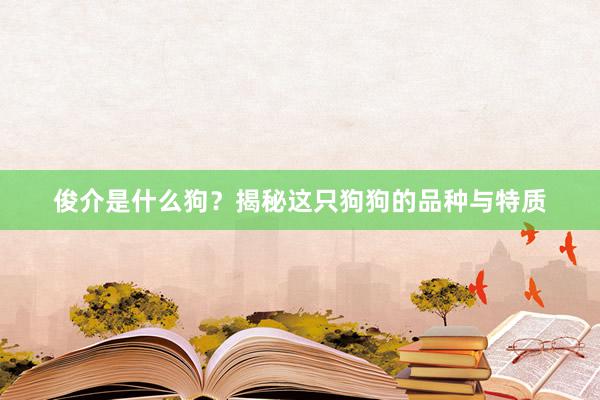 俊介是什么狗？揭秘这只狗狗的品种与特质
